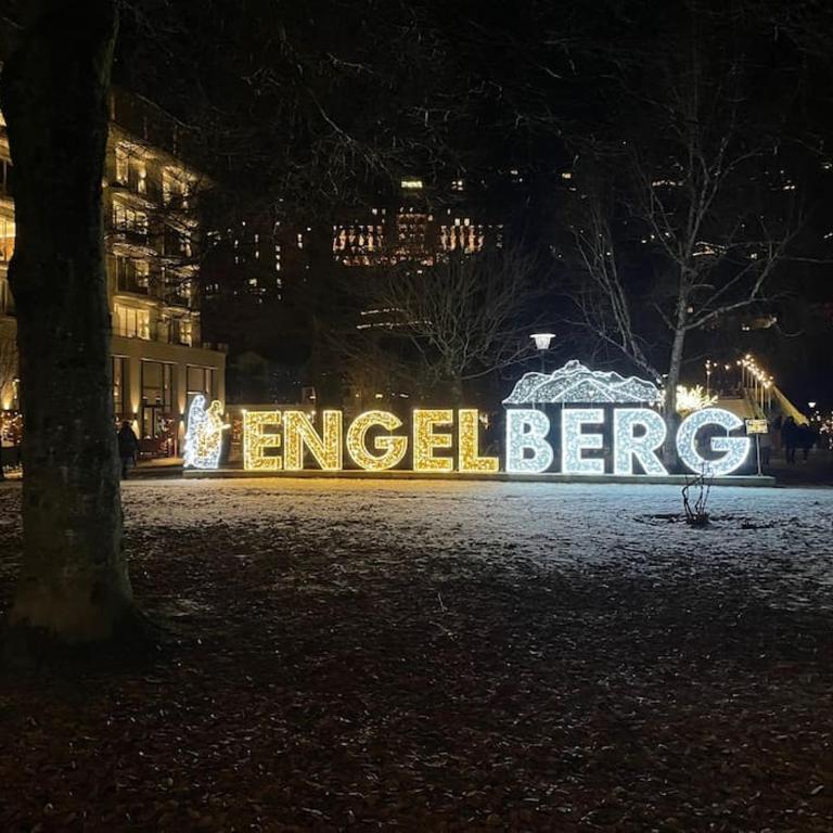 Titlis Lodge Engelberg - Apartamento de 1 dormitorio - 31