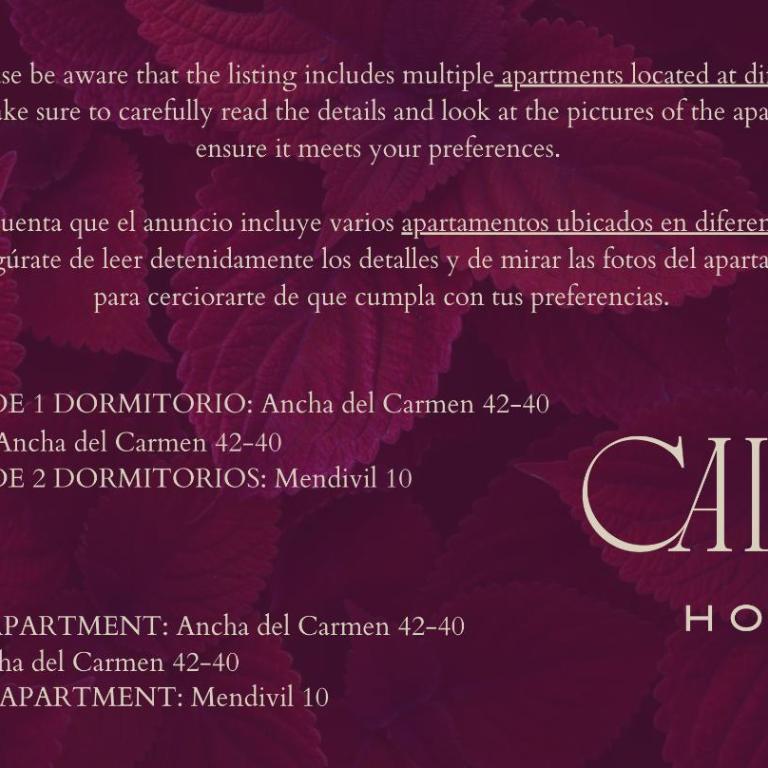 Caleta Homes - Ancha del Carmen - Apartamento de 1 dormitorio - 3