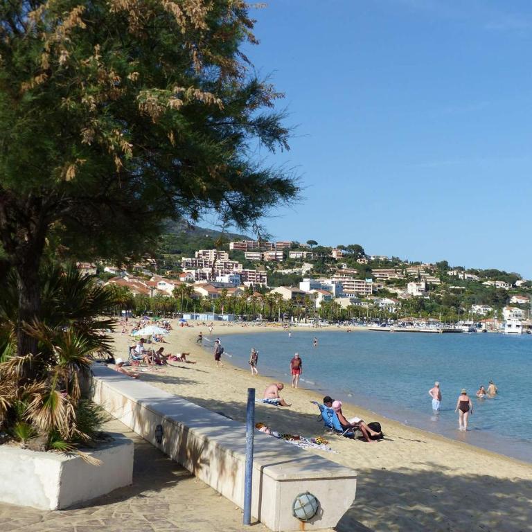 Appartement T2 au Lavandou avec Parking et Terrasse Vue Mer - FR-1-308-197 - Appartamento - 14