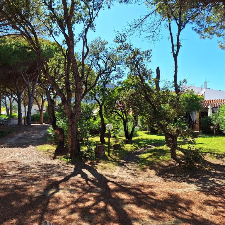 Bijoux maison fronte mare - Vacation Home - 5