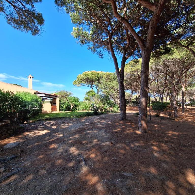 Bijoux maison fronte mare - Vacation Home - 6