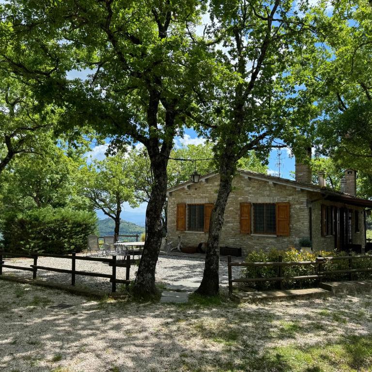 Residenza San Fortunato - Appartamento con 1 Camera da Letto - 35