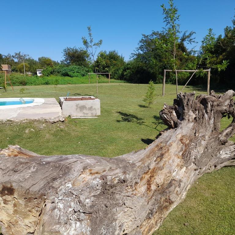 Casa chacra campo en victoria entre rios - Apartamento de 1 dormitorio - 19