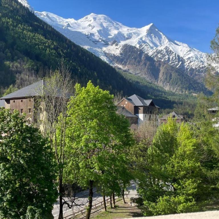 Appt Les Cosmiques - Vue Mont Blanc - 4 personnes - Appartamento Standard - 1