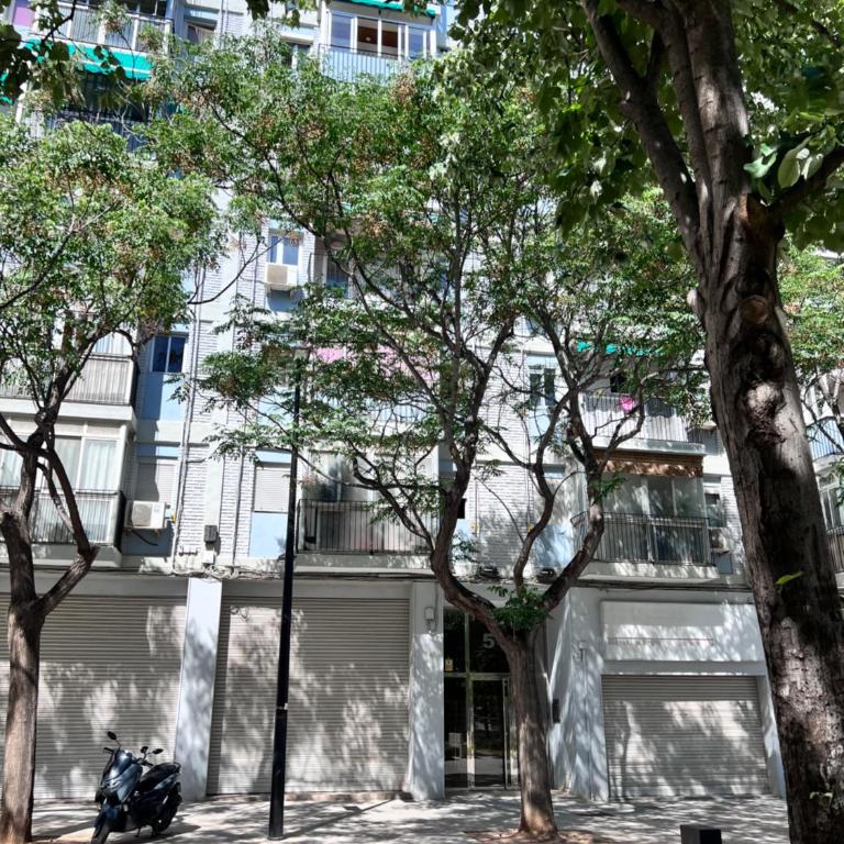 Plaza Sainetero Arniches - Standard Apartment - 4