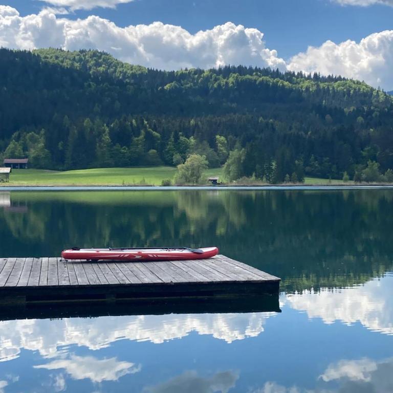 Apartments Kolbitsch mit Seeblick - Estudio con vistas al lago - 4