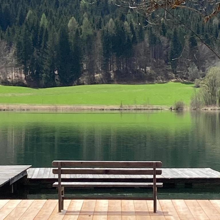 Apartments Kolbitsch mit Seeblick - Estudio con vistas al lago - 9