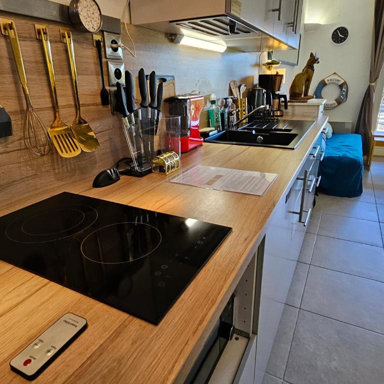 Presqu'ile de Giens, Maison Rdc avec Accès et Jardin Privés sans Vis-à-vis, Piscine, Plages à 2 min à pieds - Superior Apartment - 21
