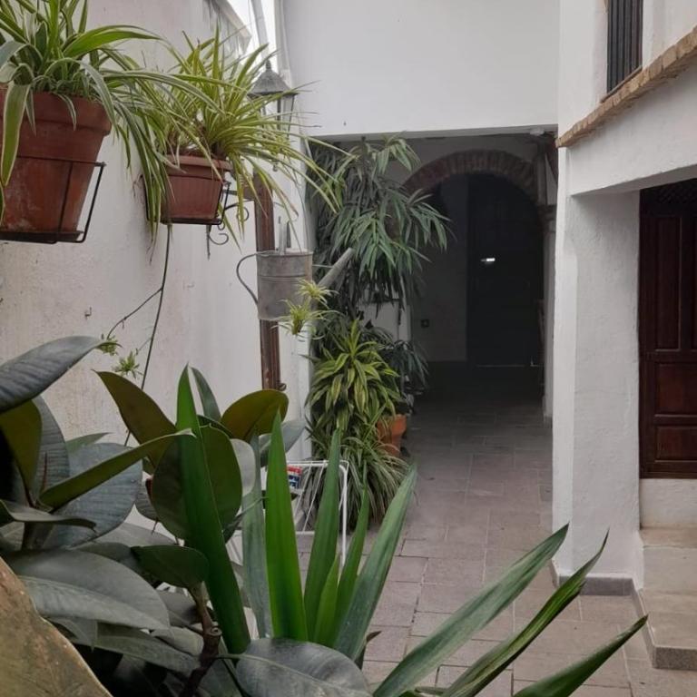 Apartamento en el casco histórico - Apartamento de 1 dormitorio - 10