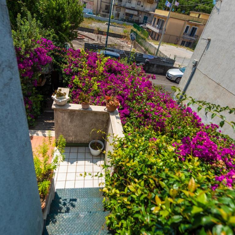 Terra Mia - Appartamento con Terrazza - 11