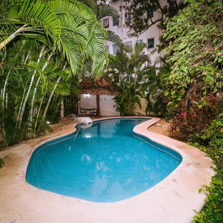 2Br apart steps from mamitas beach and 5th av - Apartamento de 2 dormitorios - 2