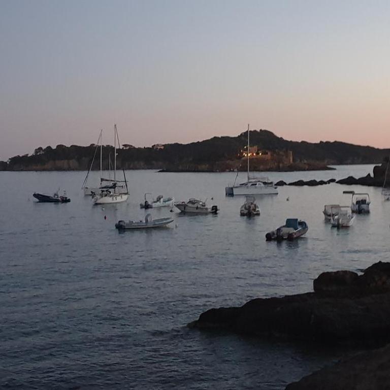 Presqu'ile de Giens, Maison Rdc avec Accès et Jardin Privés sans Vis-à-vis, Piscine, Plages à 2 min à pieds - Superior Apartment - 41