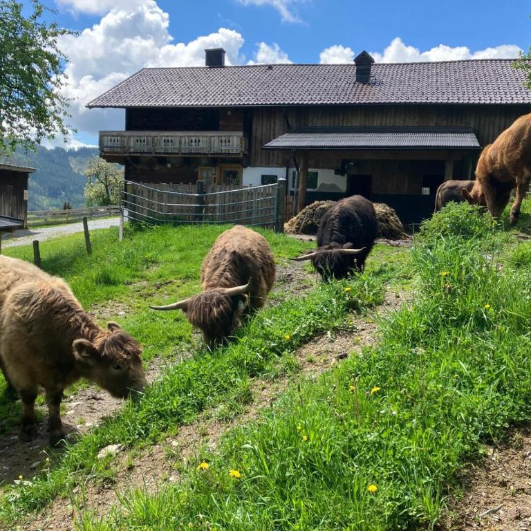 Landhaus Hochkönig - Apartment mit 2 Schlafzimmern - 9