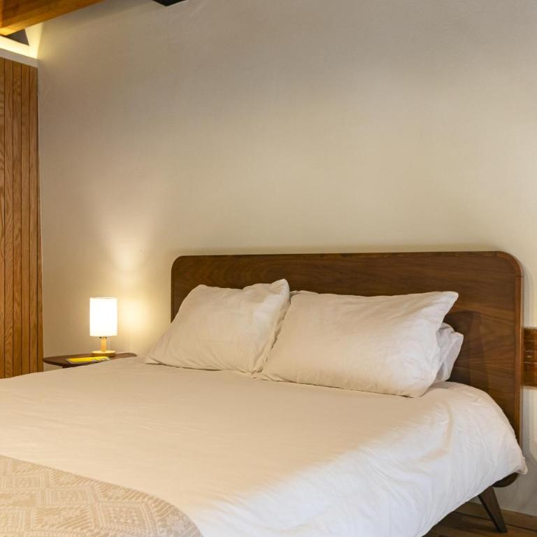 Departamento Emilio Dondé zona céntrica CDMX - Dúplex - 6