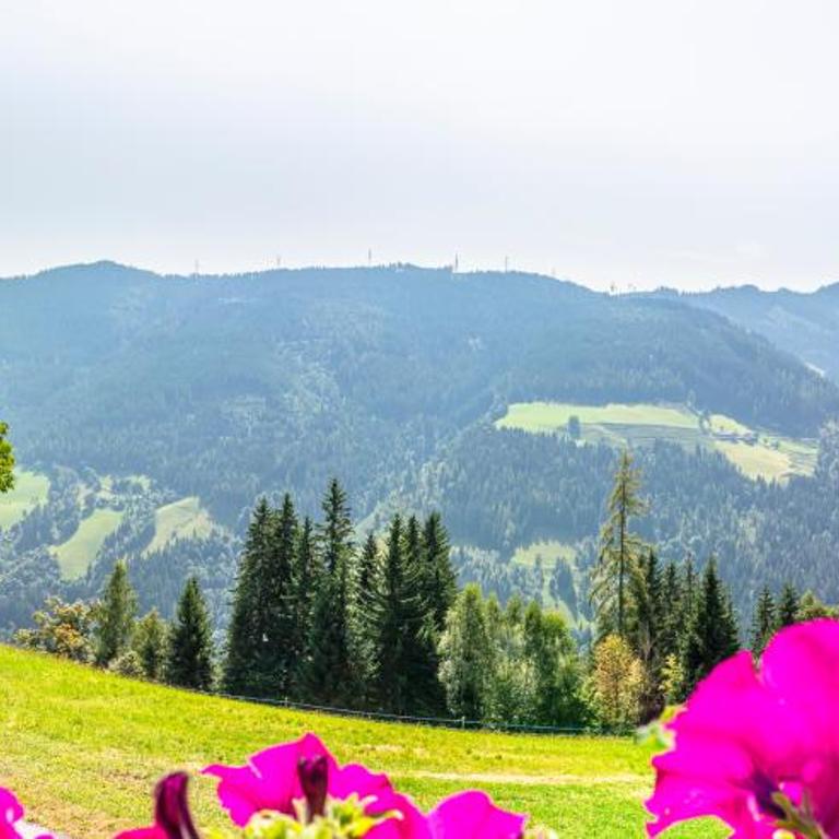 Landhaus Hochkönig - Apartment mit 2 Schlafzimmern - 4