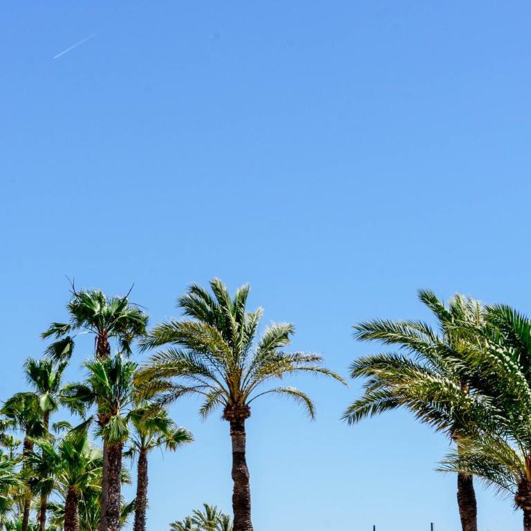 Hermoso estudio vistas al mar - One-Bedroom Apartment - 31