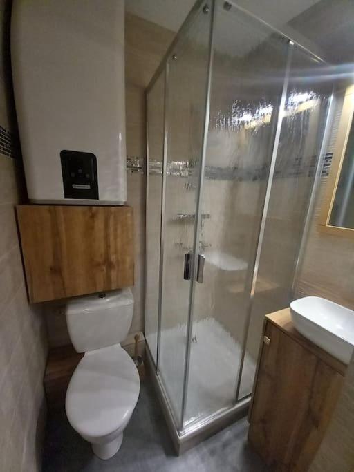 Studio plein centre des 2 Alpes - Studio - 33