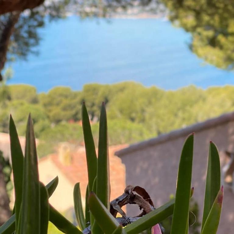 T2 vue Mer avec balcon, climatisé, piscine - Appartement 1 Chambre - 2