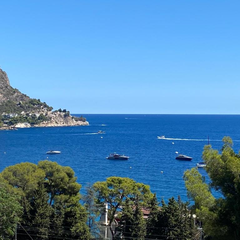 Hidden Paradise Luxury Sea View Villa EZE - Villa avec Piscine Privée - 18
