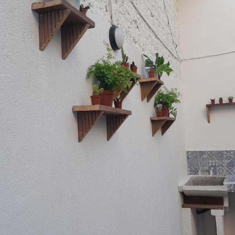 La casita Azul - Two-Bedroom House - 6