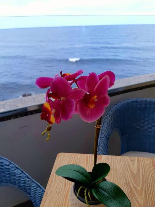 Ocean Orchidea - Apartamento de 2 dormitorios - 6