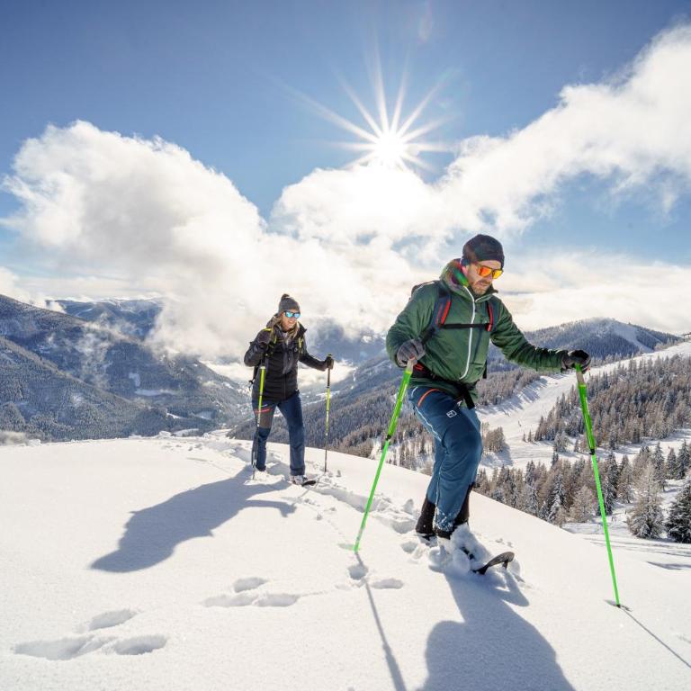 Maibrunnalm SKI IN & SKI OUT - Apartment - Erdgeschoss - 24