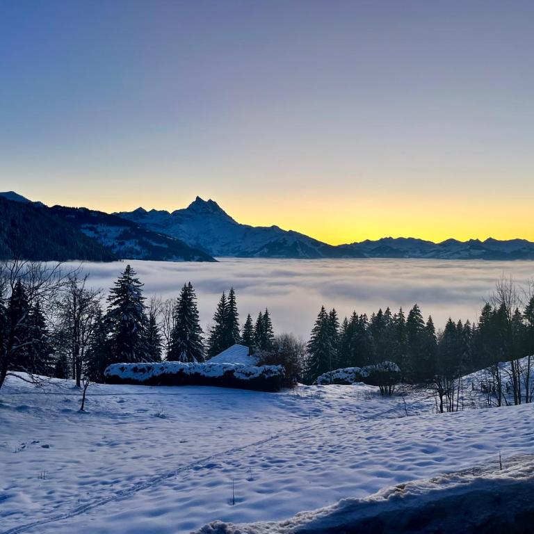 THE ALPINE STUDIO by the ski slopes & lake Frience 3pax - Apartment mit Blick auf die Berge - 35