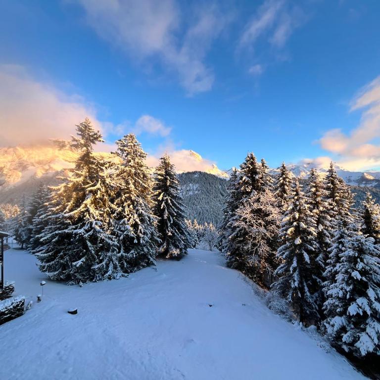 THE ALPINE STUDIO by the ski slopes & lake Frience 3pax - Apartment mit Blick auf die Berge - 37