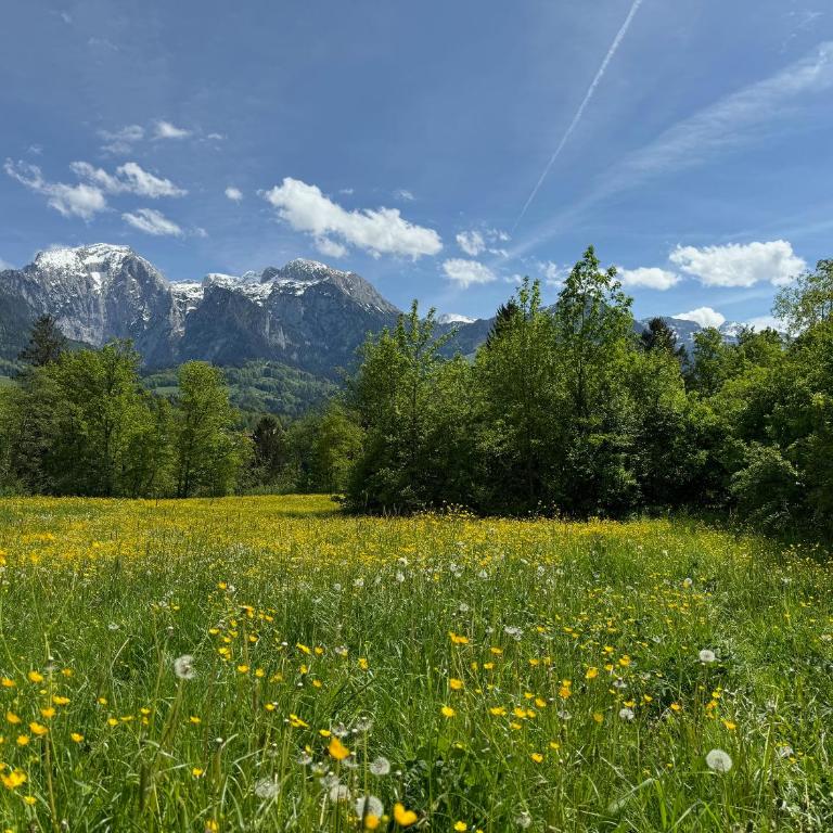 Ferienwohnung Struberberg - Apartment mit 2 Schlafzimmern - 10