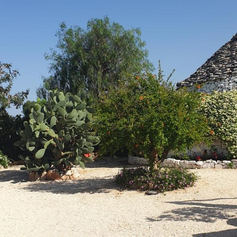 Masseria Demma - Camera Deluxe Matrimoniale con Vista Mare - 1