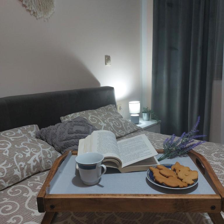 Apartman La Viva Sokobanja - Apartman sa 2 Spavaće Sobe - 1