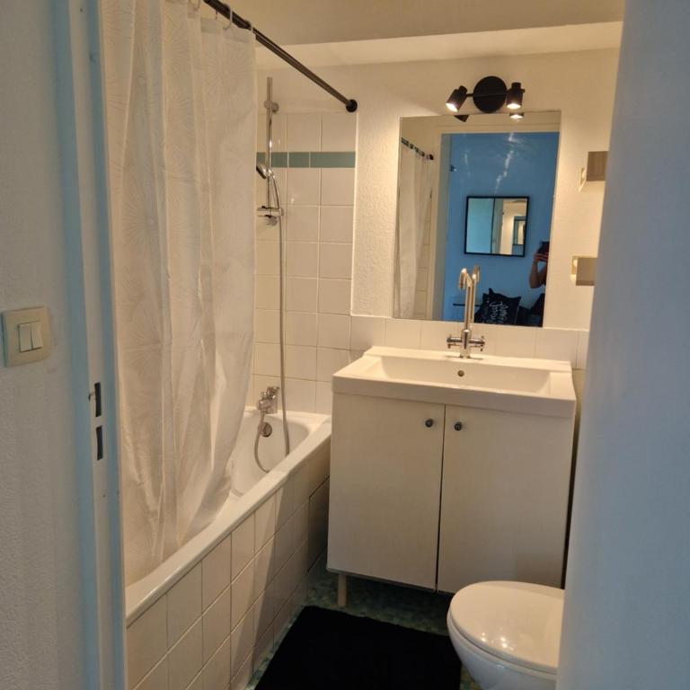 Appartement avec vue sur le lez - Appartement 1 Chambre - 14