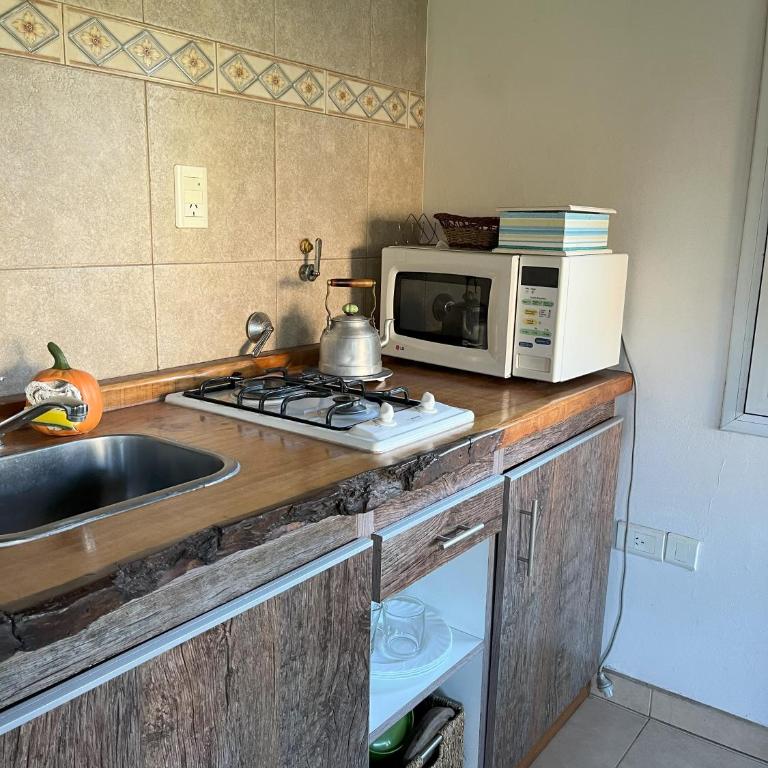 Cabañas Mapu Suyai - Casa con 1 dormitorio - 23