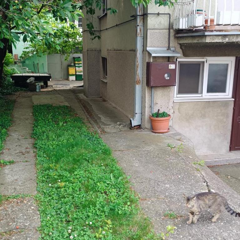 M-EDEN House - Kuća sa 1 Spavaćom Sobom - 41