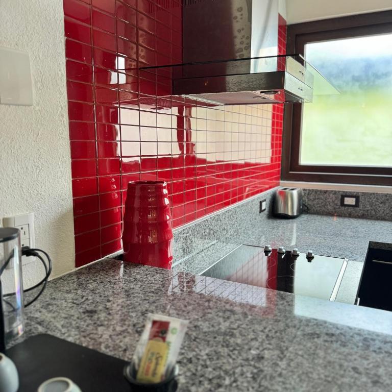 Ilo Rojo Hotel Boutique - Suite Presidencial - 10