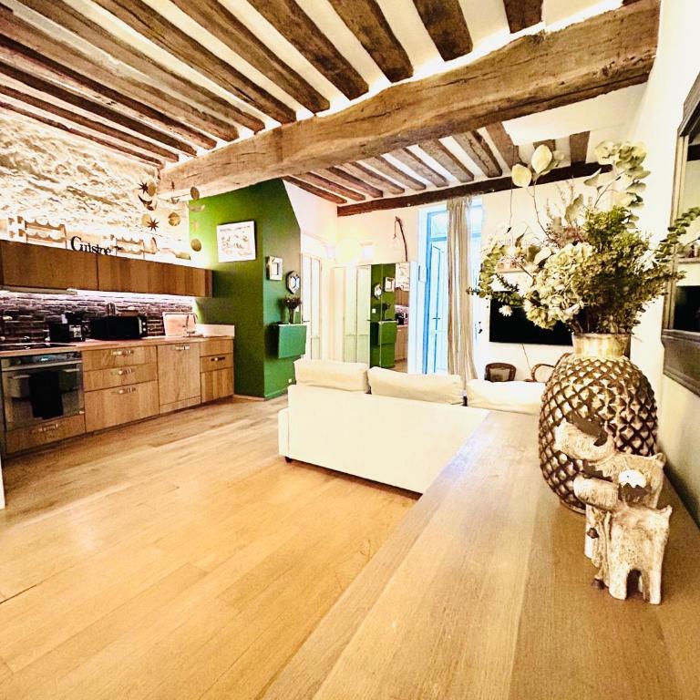 Splendid atypical loft st germain - Appartement 2 Chambres - 8