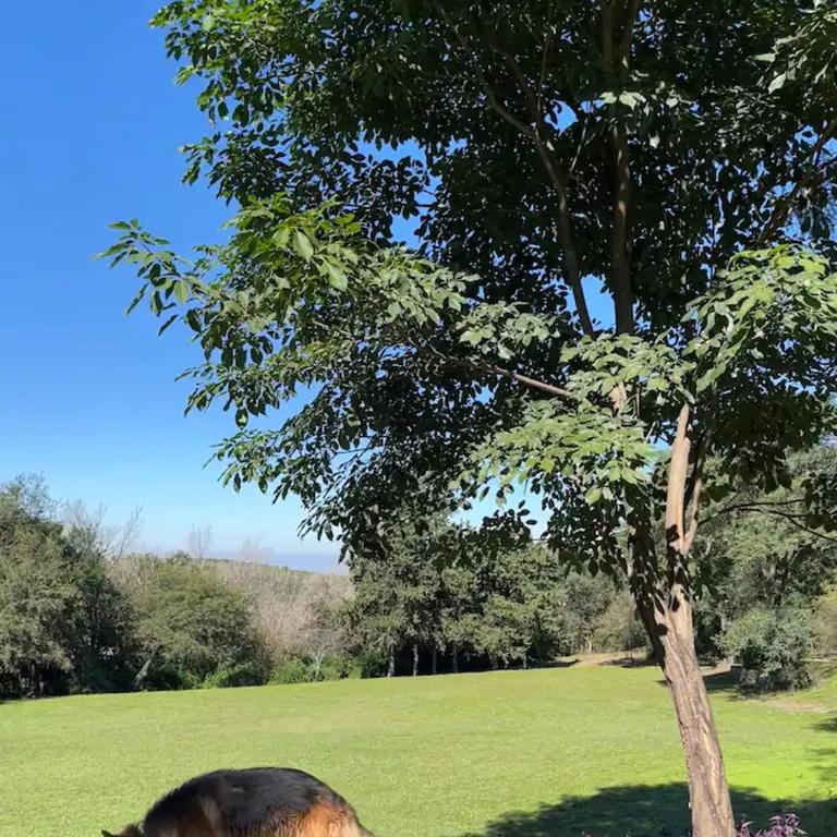 Casa en Ascochinga privado. Sierras de Córdoba - Casa de 4 dormitorios - 47