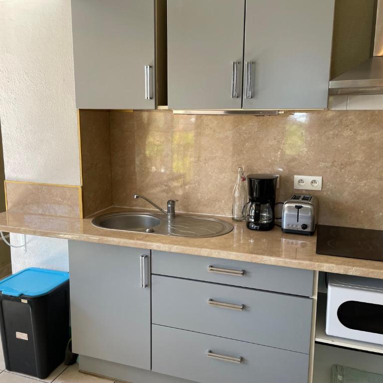 Argelès - T2 proche mer, 4 pers, wifi, clim - FR-1-309-447 - Apartment - 9