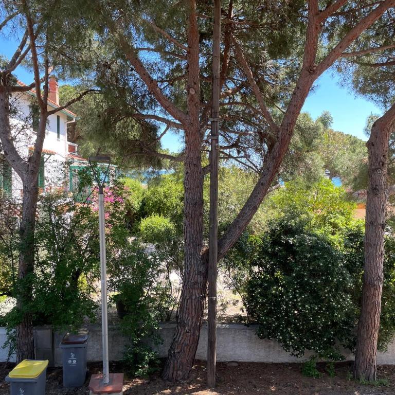 Argelès - T2 proche mer, 4 pers, wifi, clim - FR-1-309-447 - Apartment - 1