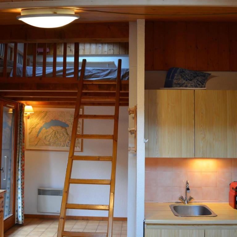 Studio confortable 4 personnes avec balcon à Châtel - FR-1-676-50 - Monolocale - 5