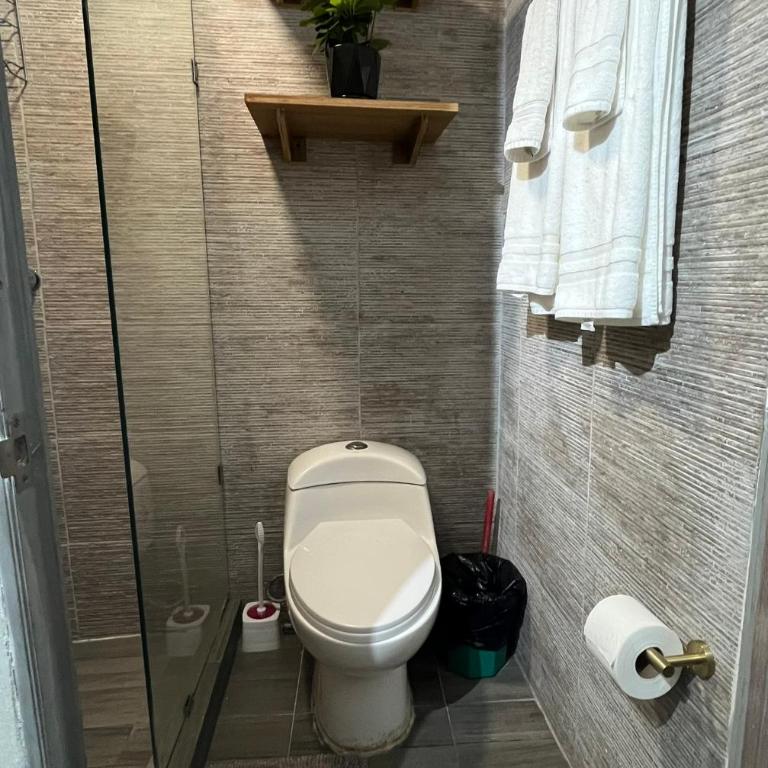 La Puerta Blanca #3 - One-Bedroom Apartment - 4