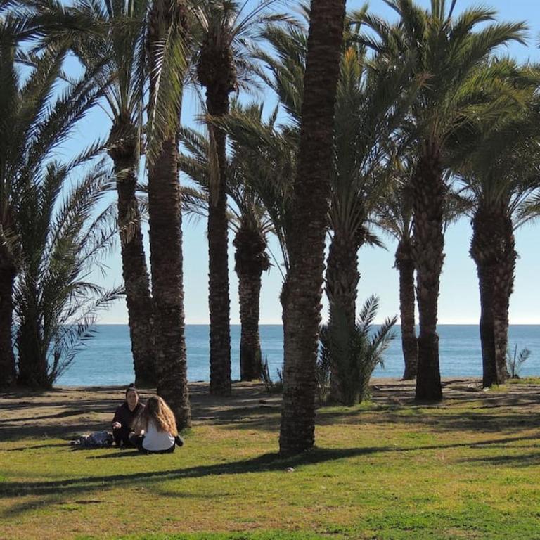 Playamar Beach. - Apartamento de 2 dormitorios - 34