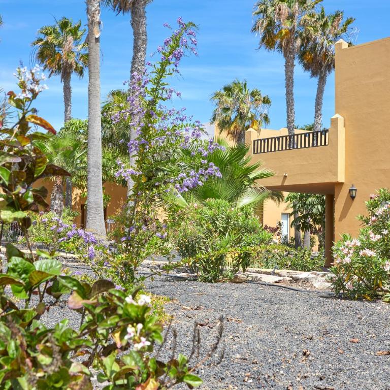 Apartamento Samira Fuerteventura - One-Bedroom Apartment - 23
