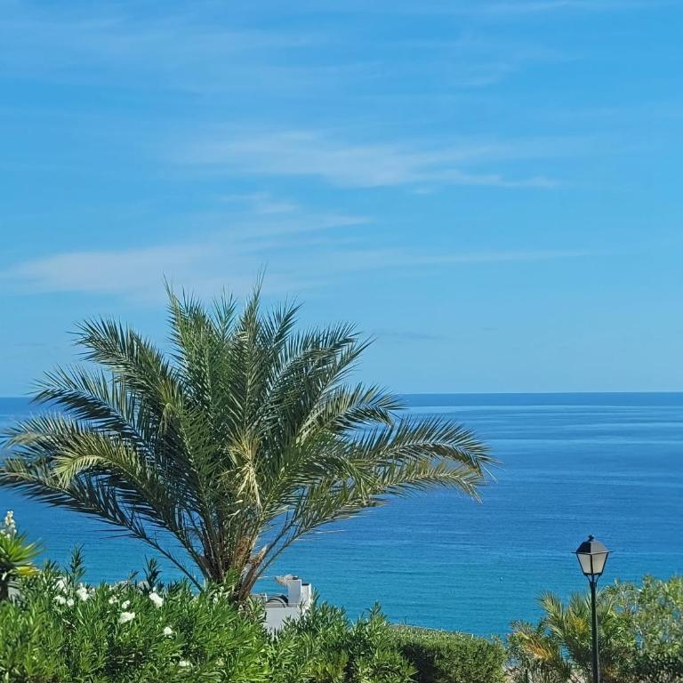 Apartamento Mar del Sur Vera Playa- jacuzzi privado todo el año - Apartamento de 1 dormitorio - 12