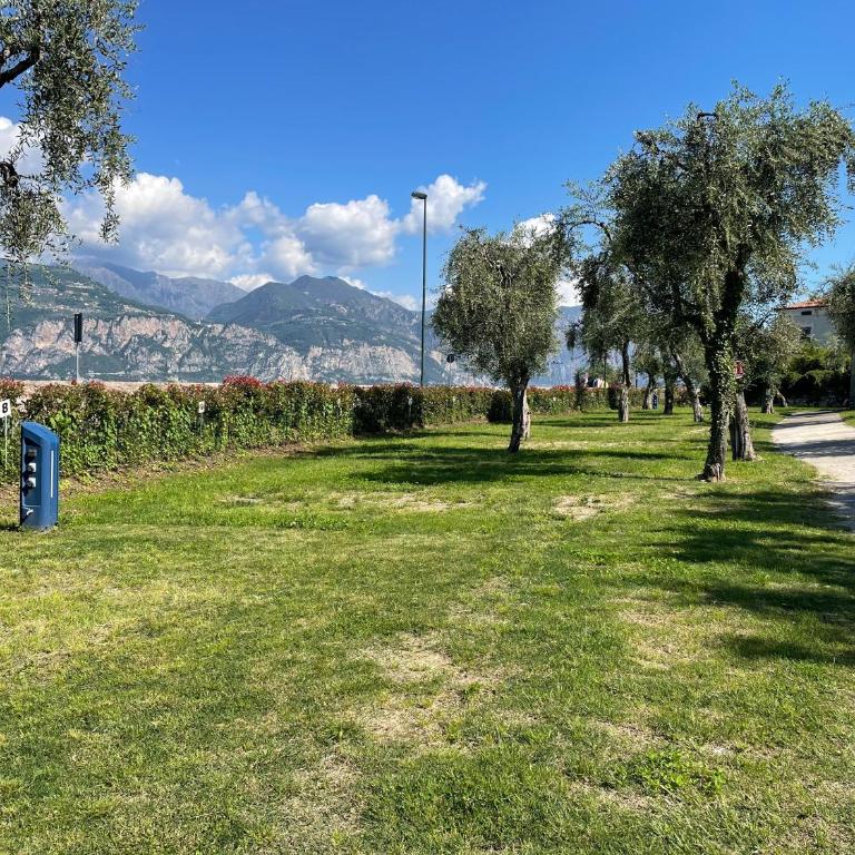 Camping Antonio - Parcela - 5