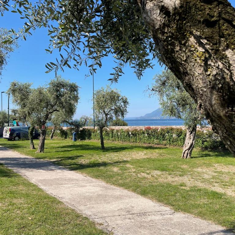 Camping Antonio - Parcela - 6