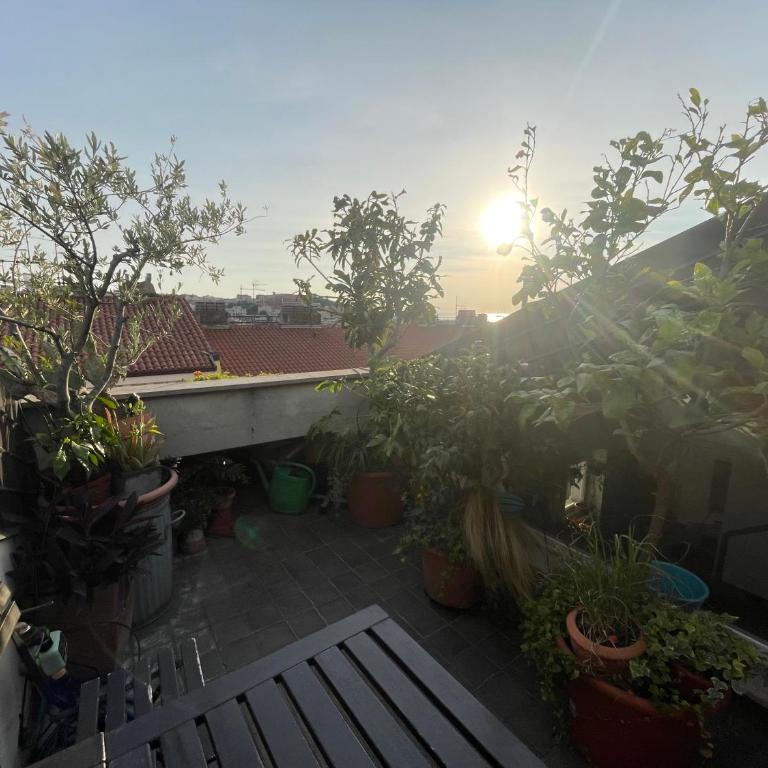 Appartamento con terrazza vista mare - Appartamento Standard con 2 Camere da Letto - 14