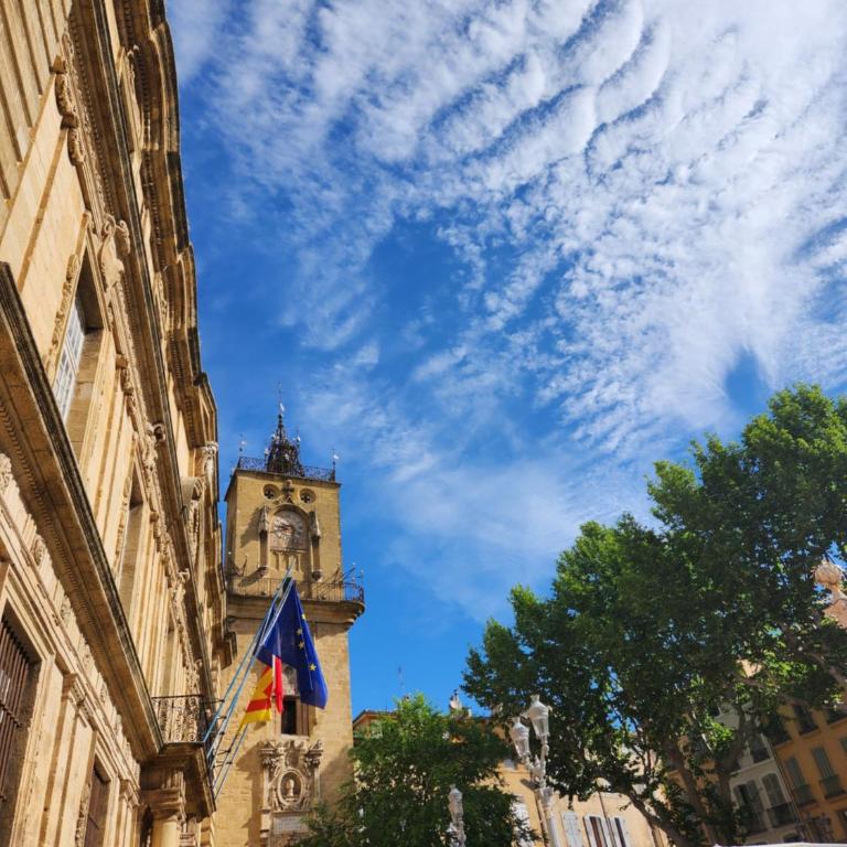 Le Beffroi de Gaston Climatisé - Apartamento de 1 dormitorio - 33