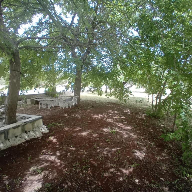 Villa Il Leccio - Trulli - Casa a Schiera con 2 Camere da Letto - 49