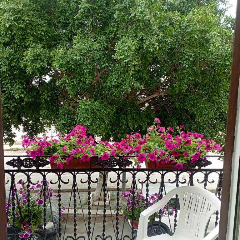 Casa bluchic Gioisia - Apartamento de 2 dormitorios - 1